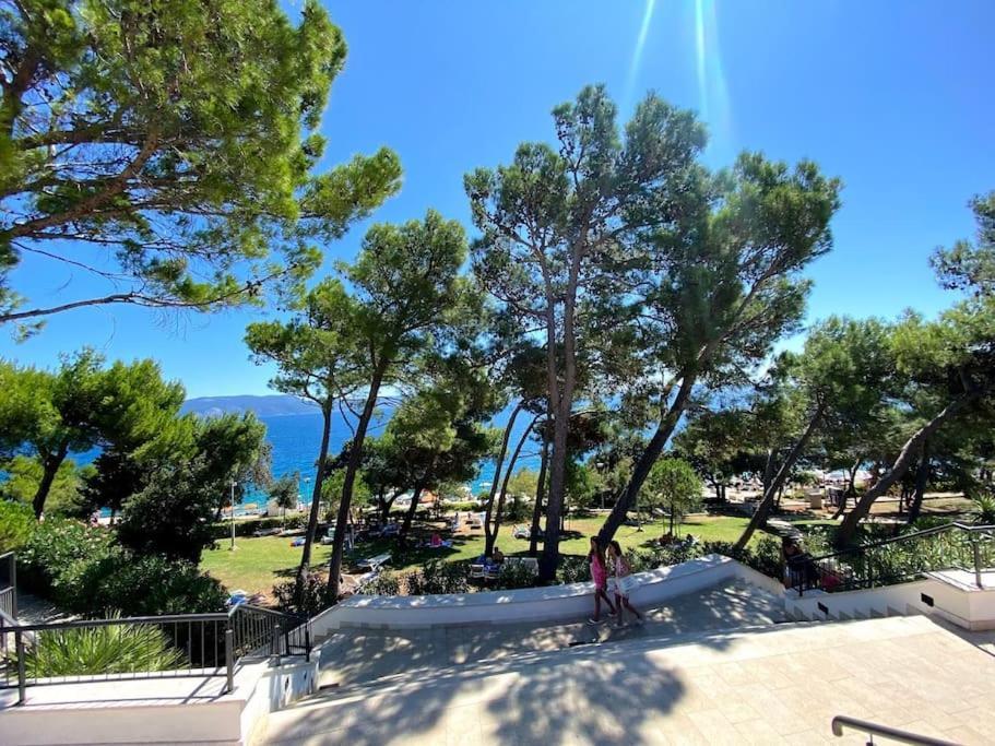Studio Vesna With A Terrace And Sea View Rabac Exterior foto